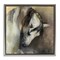 Stupell Industries Classical White Horse Framed Floater Canvas Wall Art Design by Marilyn Hageman